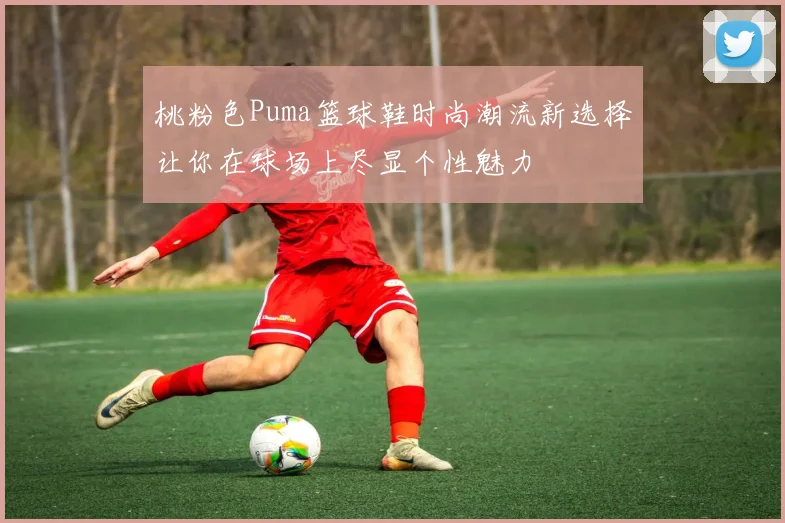 桃粉色Puma篮球鞋时尚潮流新选择让你在球场上尽显个性魅力