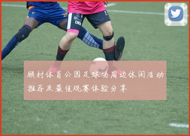 顾村体育公园足球场周边休闲活动推荐及最佳观赛体验分享