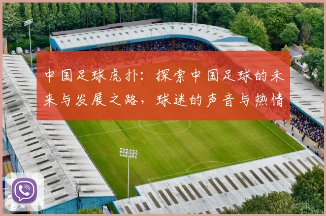 中国足球虎扑：探索中国足球的未来与发展之路，球迷的声音与热情交织