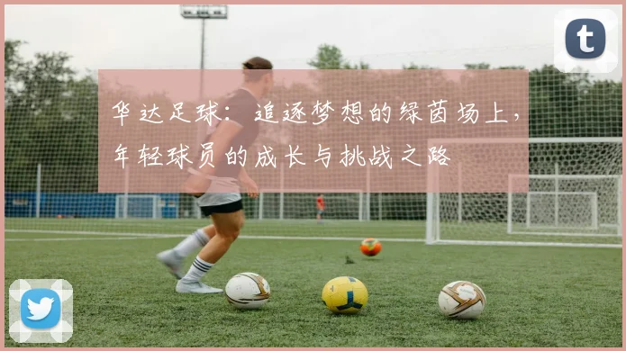 华达足球：追逐梦想的绿茵场上，年轻球员的成长与挑战之路